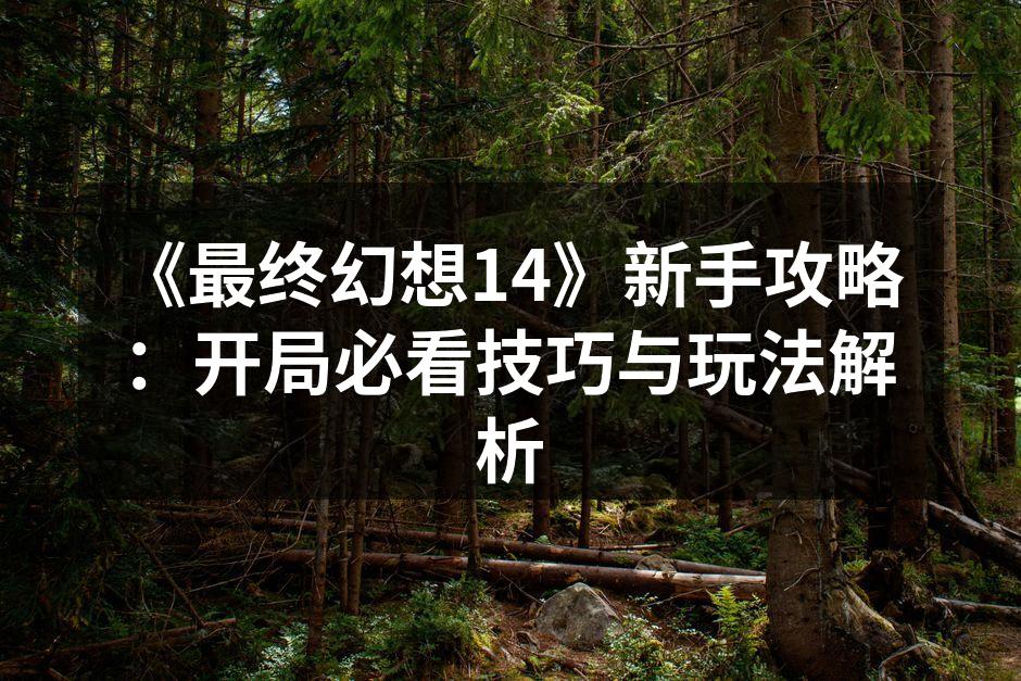 《最终幻想14》新手攻略：开局必看技巧与