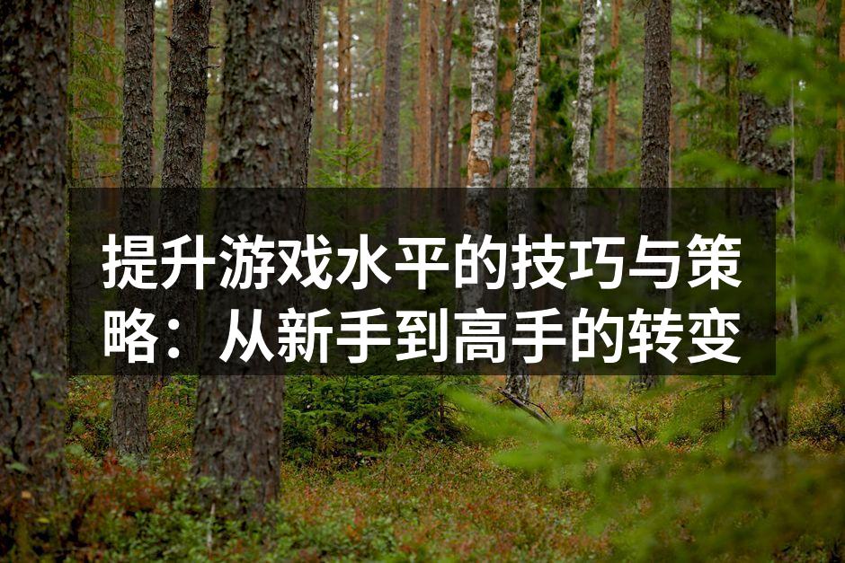 提升游戏水平的技巧与策略：从新手到高手的